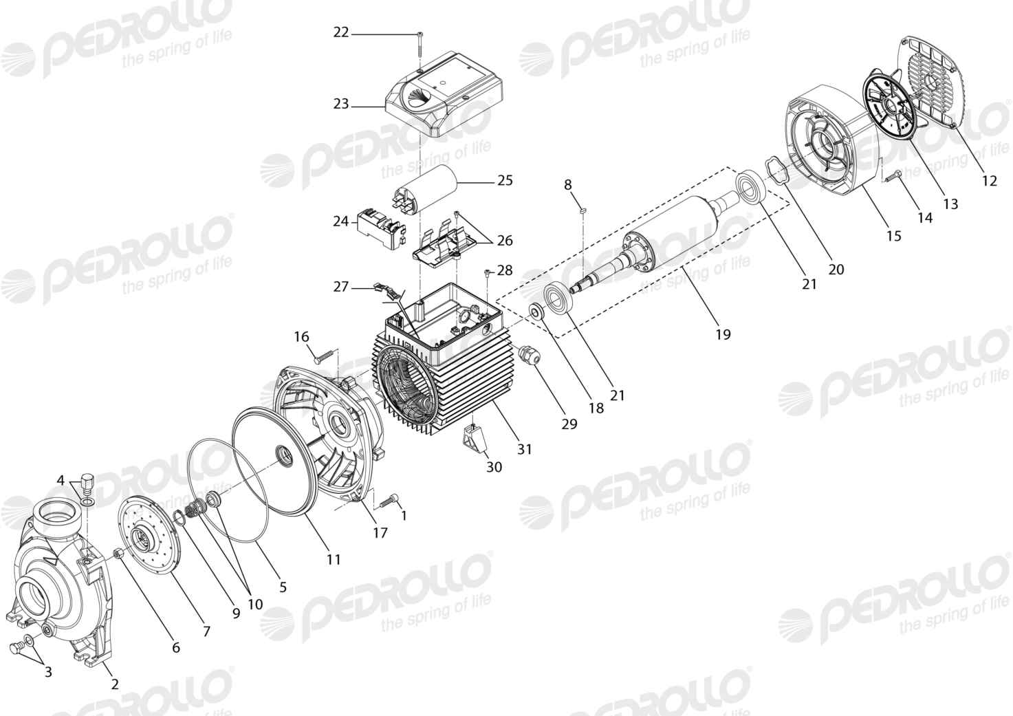 Despiece Pedrollo HFm 5BM · 220V · versión C