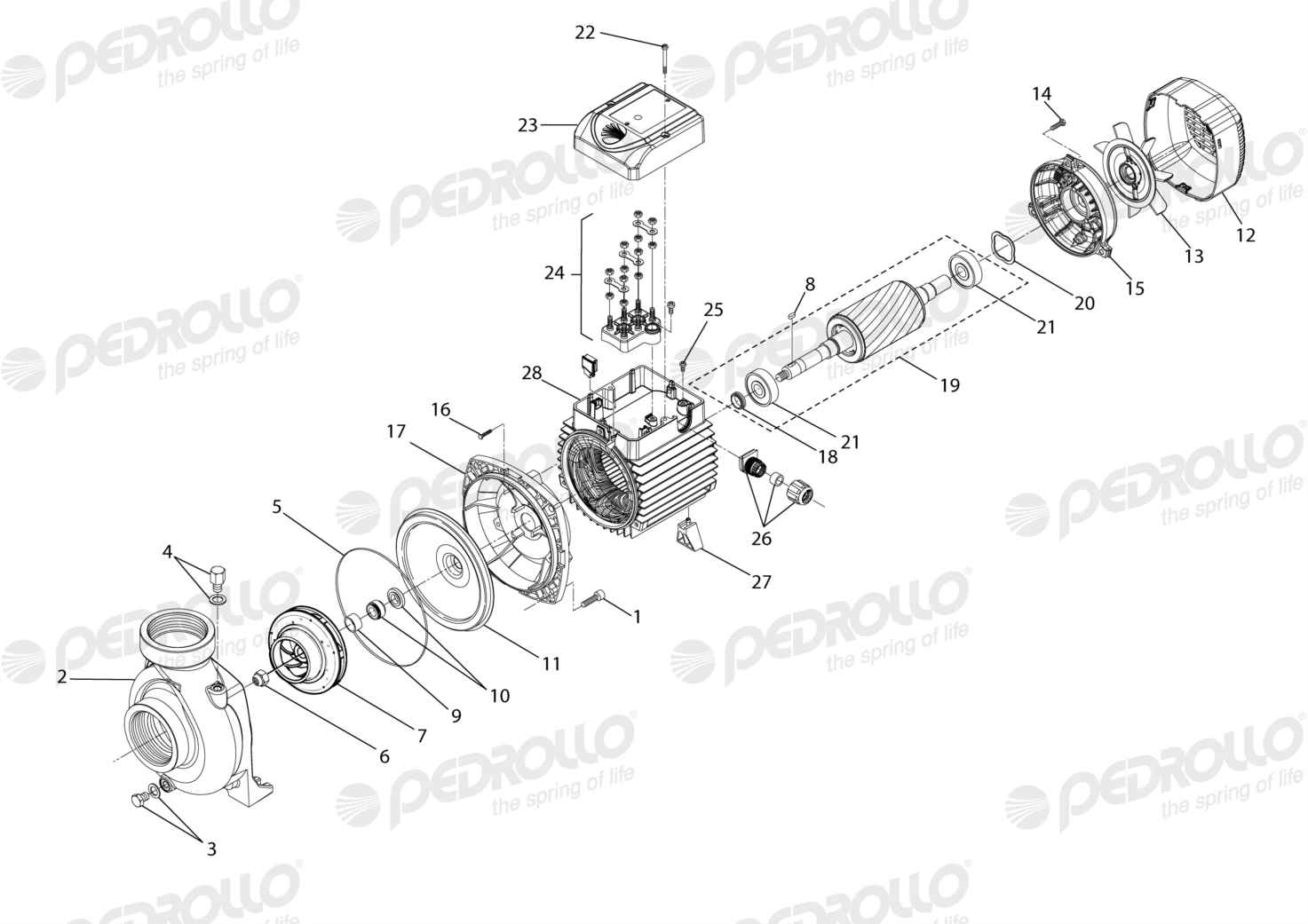Despiece Pedrollo HF 4 · 220/380V · versión F