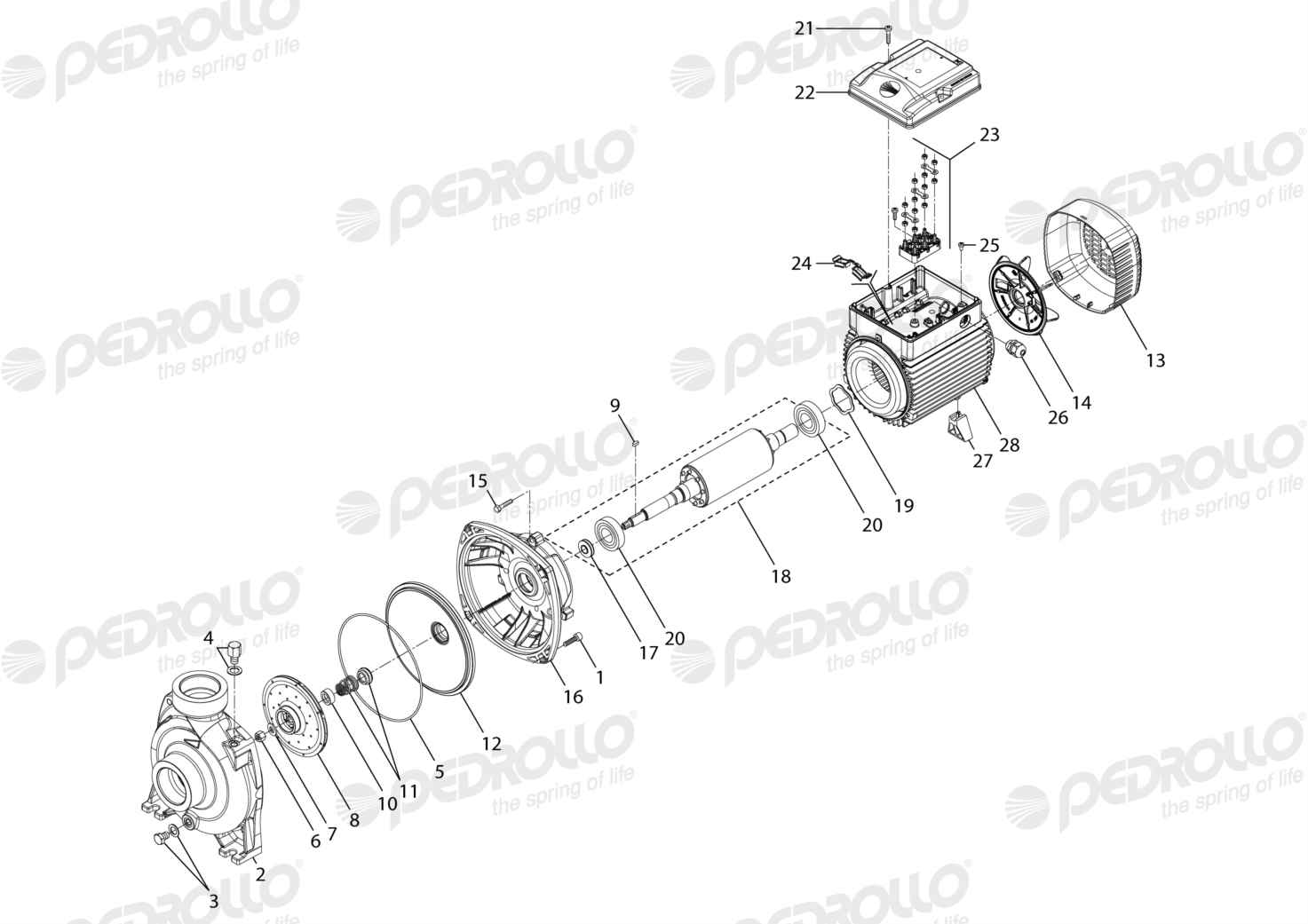 Despiece Pedrollo HF 5AM · 220/380V · versión G