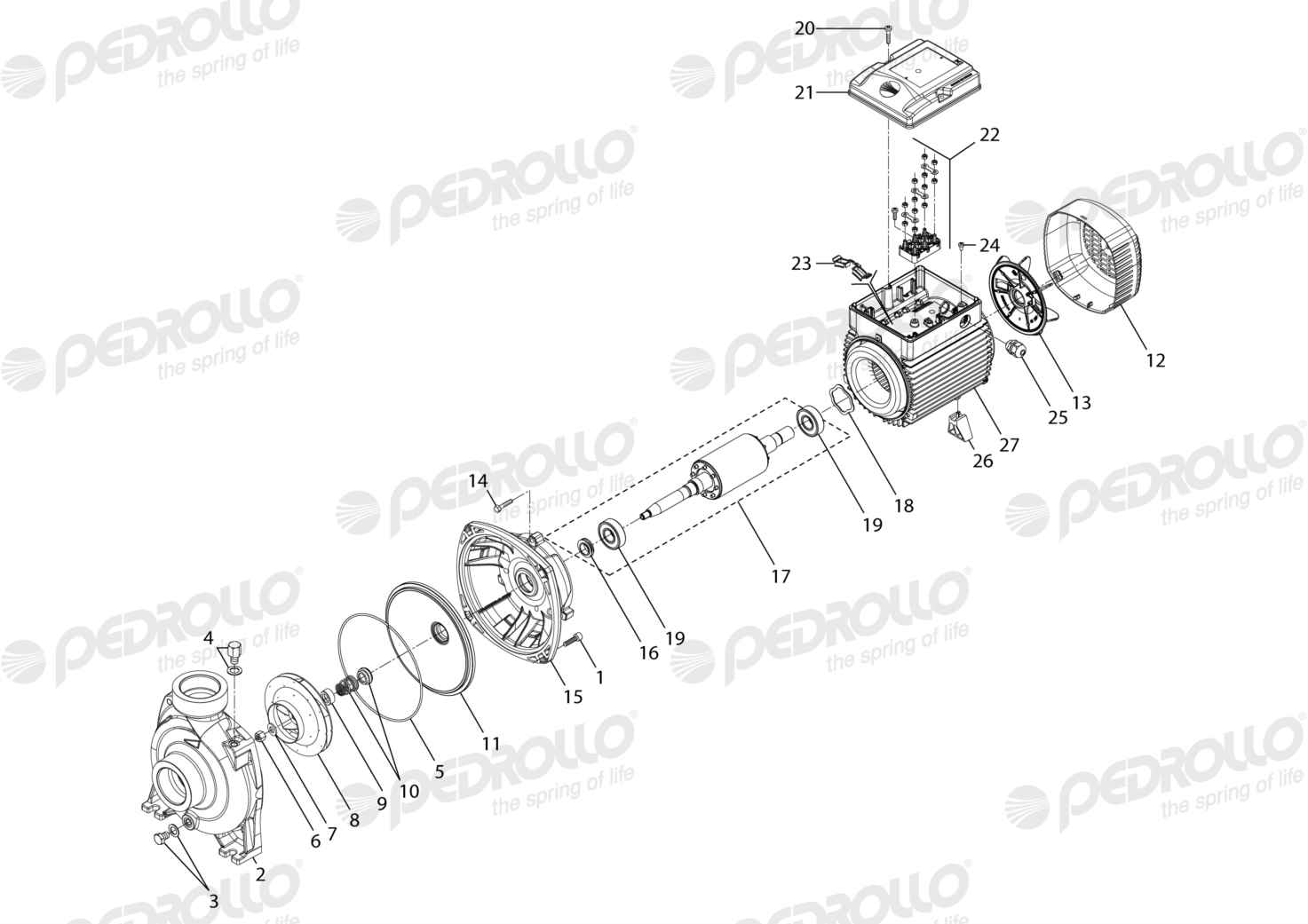 Despiece de la Pedrollo HF 5ARM