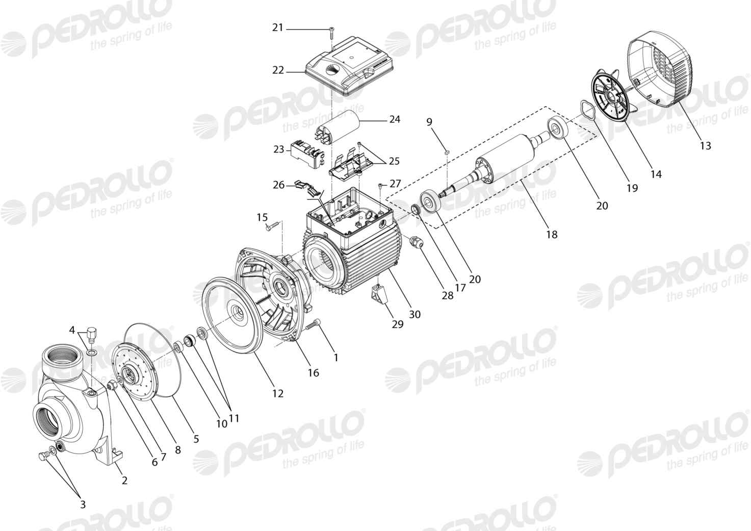 Despiece Pedrollo HFm 70A · 220V · versión E