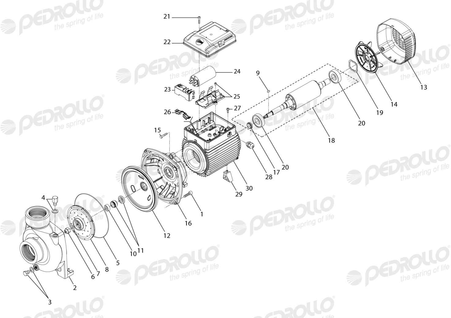Despiece Pedrollo HFm 70C · 220V · versión E