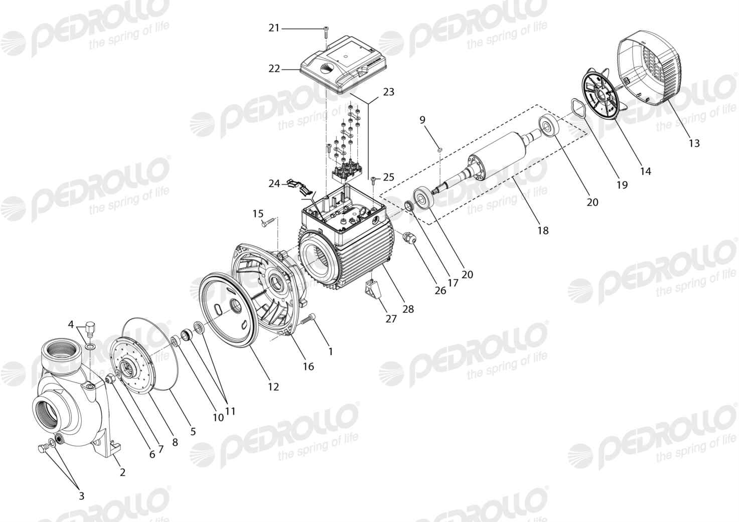 Despiece Pedrollo HF 70B · 220/380V · versión F