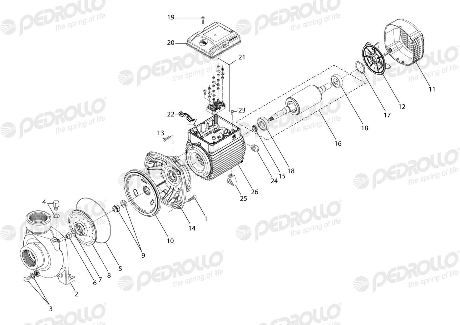 Despiece de la Pedrollo HF 70B
