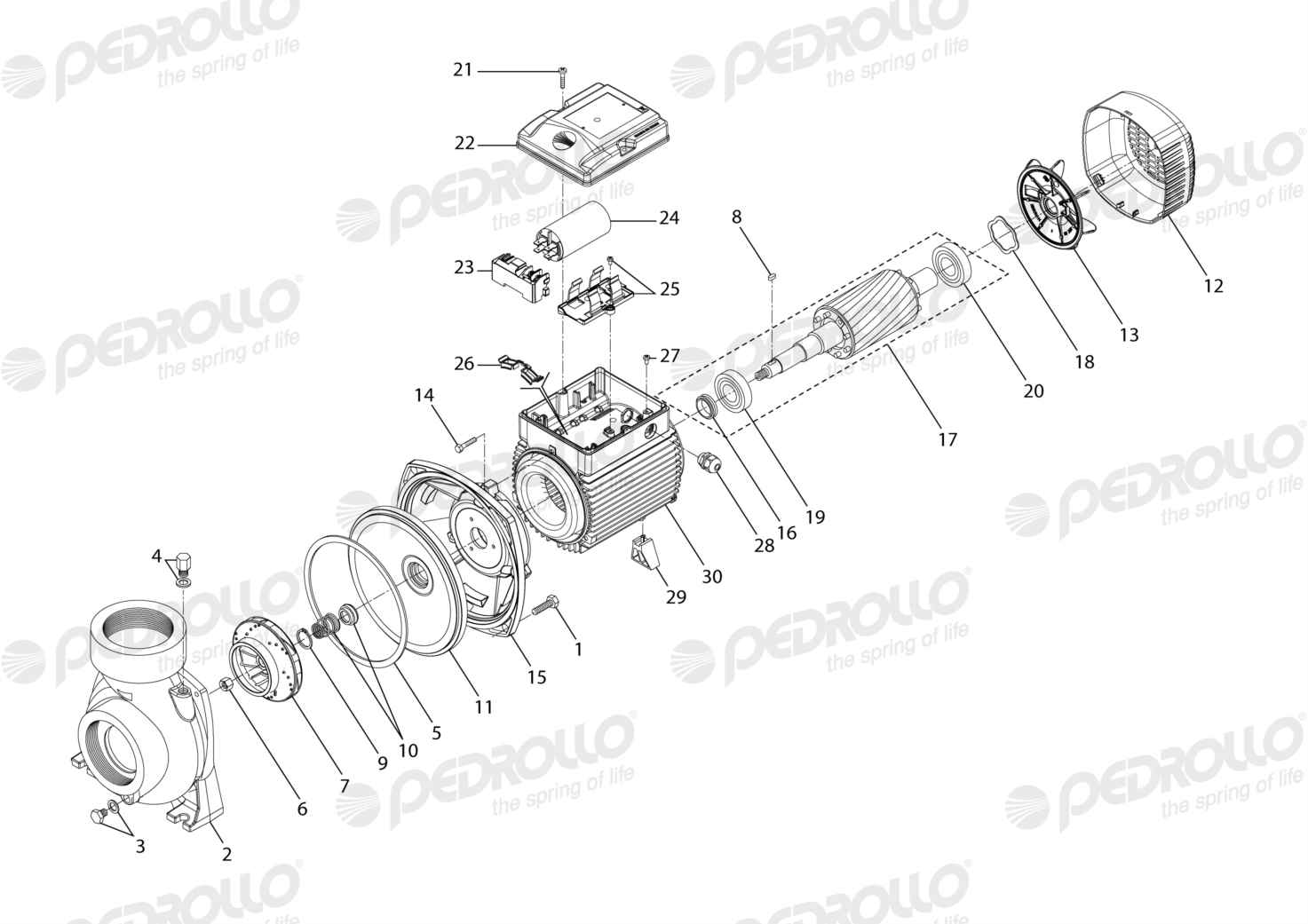 Despiece Pedrollo HFm 6B · 220V · versión C