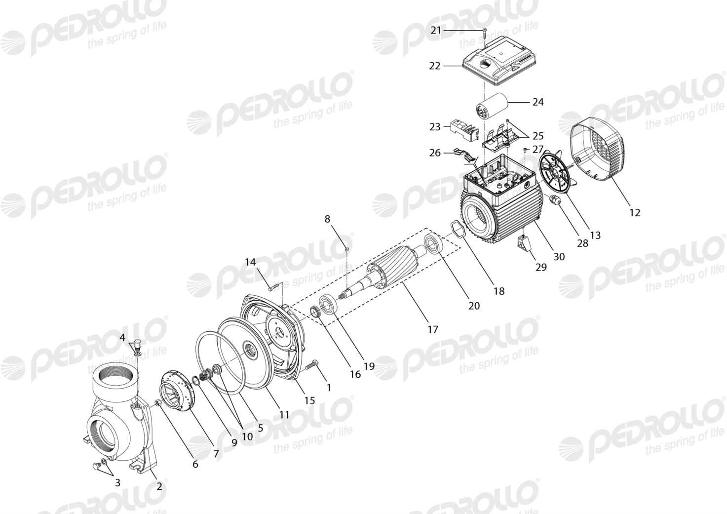 Despiece Pedrollo HFm 6B · 220V · versión D