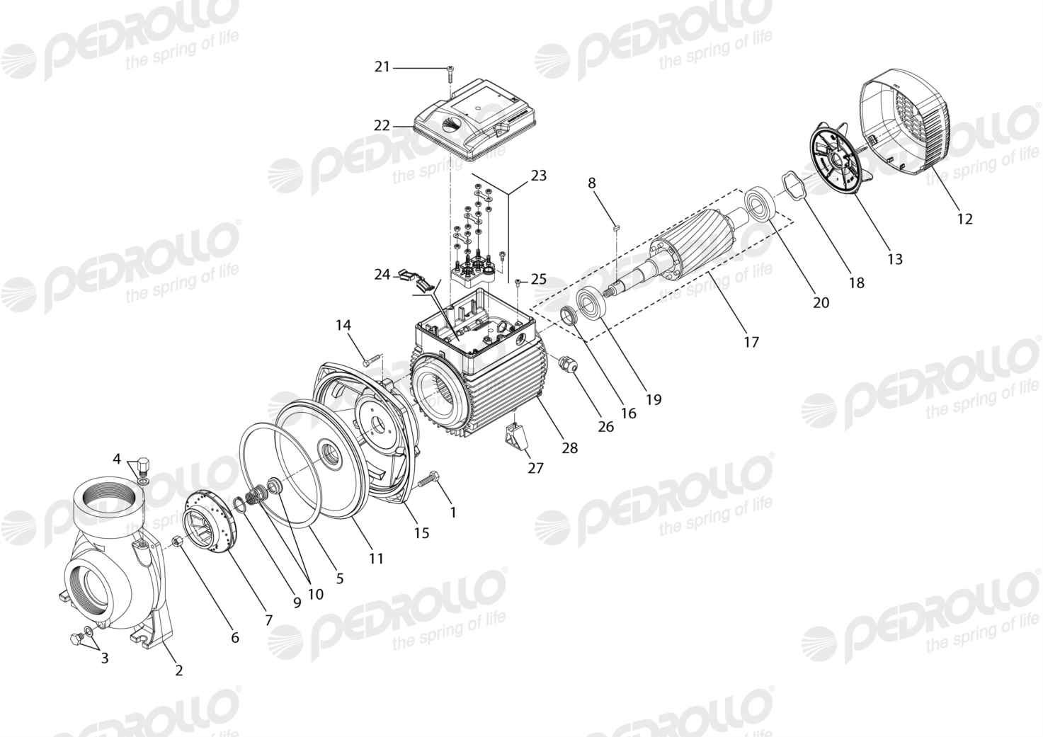 Despiece Pedrollo HF 6A · 220/380V · versión D