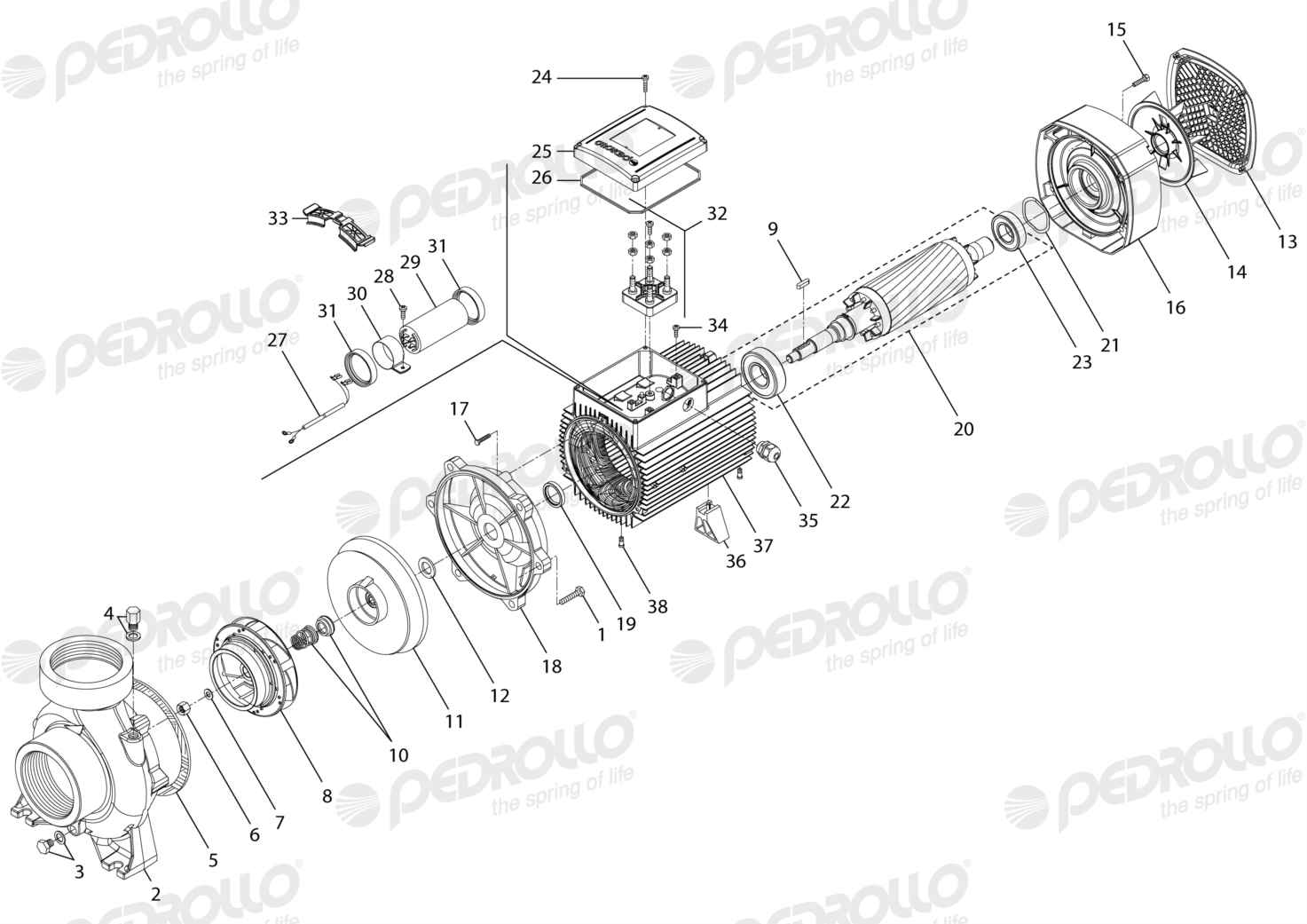 Despiece Pedrollo HFm 8B · 220V · versión A