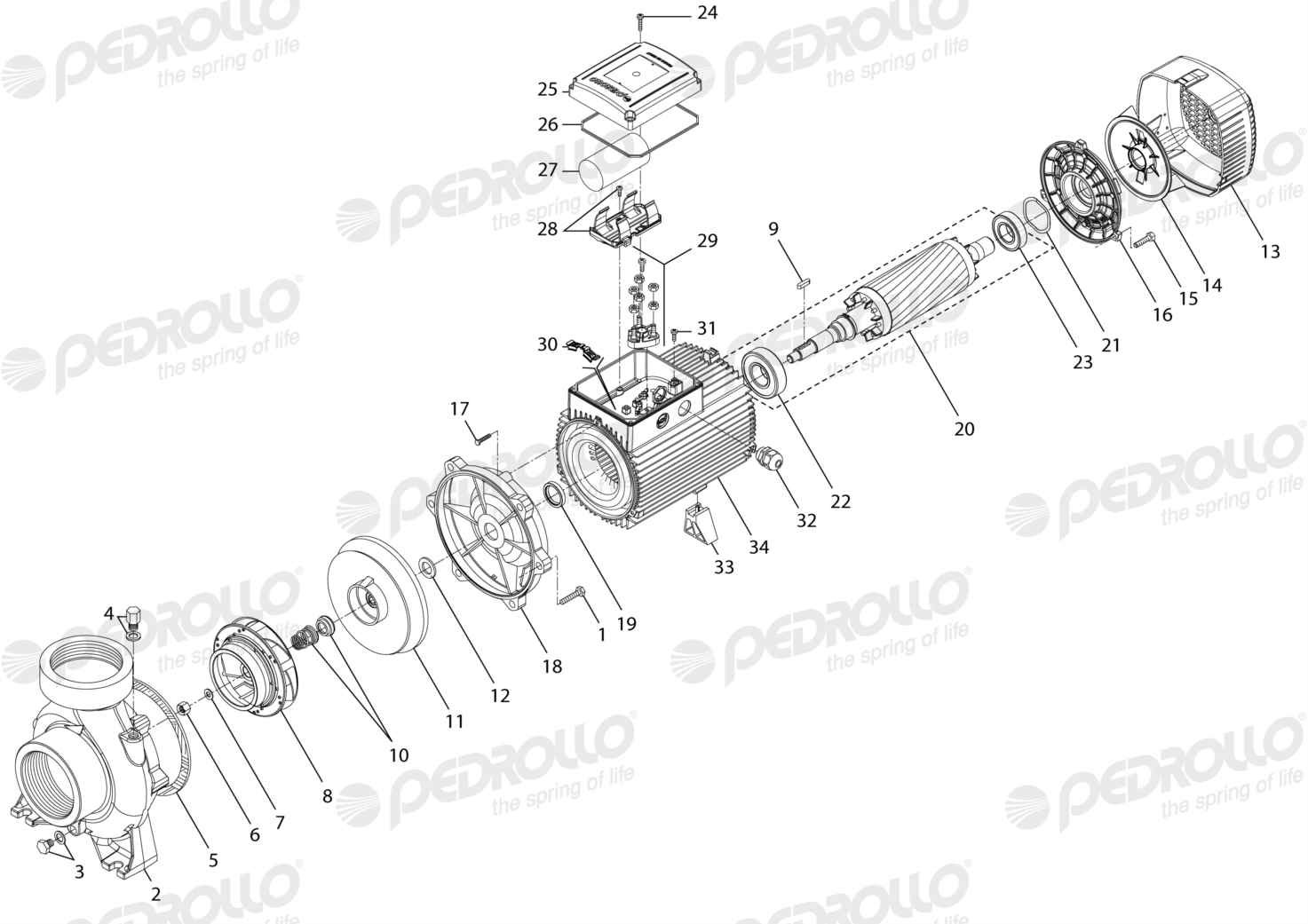 Despiece Pedrollo HFm 8B · 220V · versión D