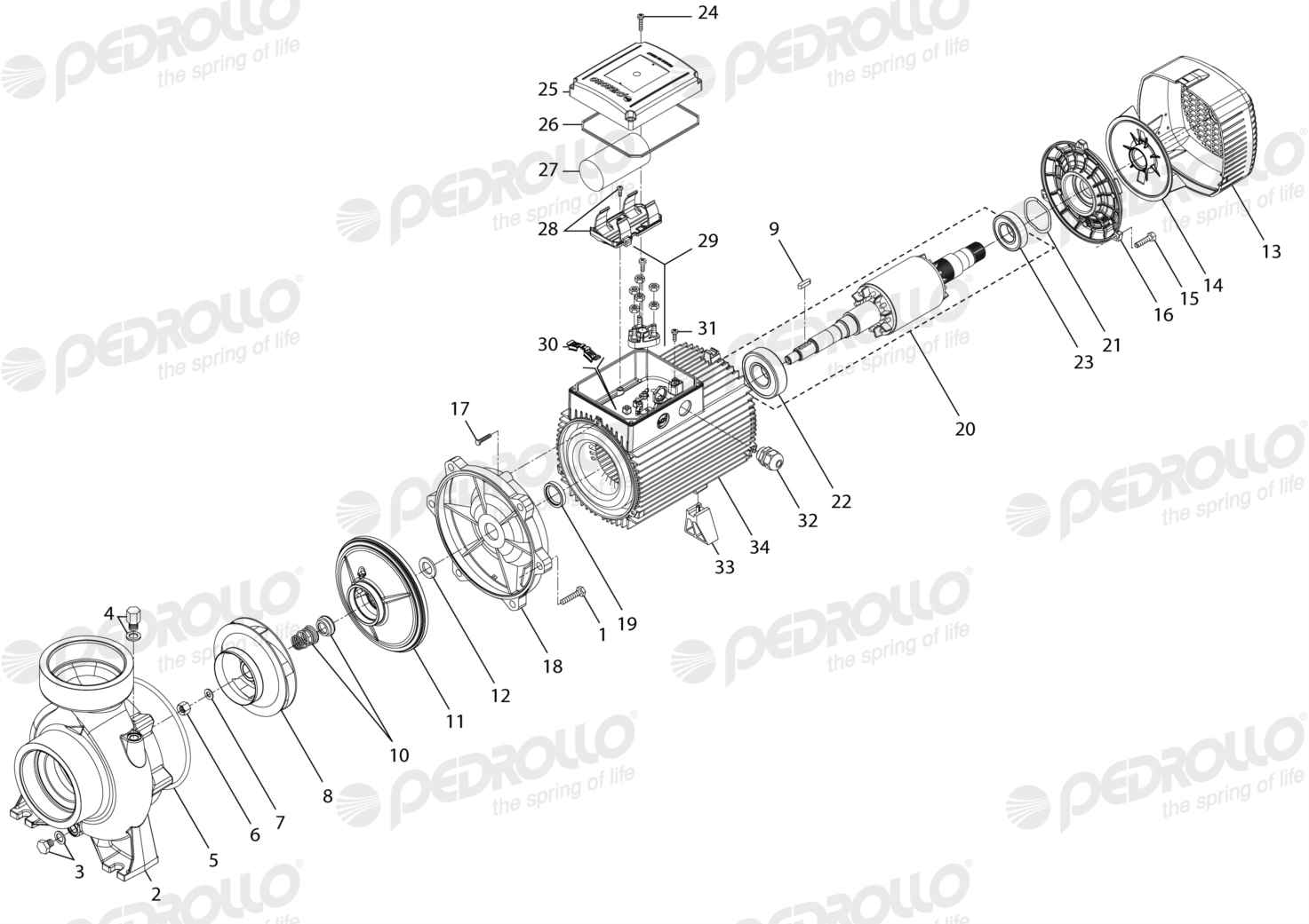 Despiece de la Pedrollo HFm 8B