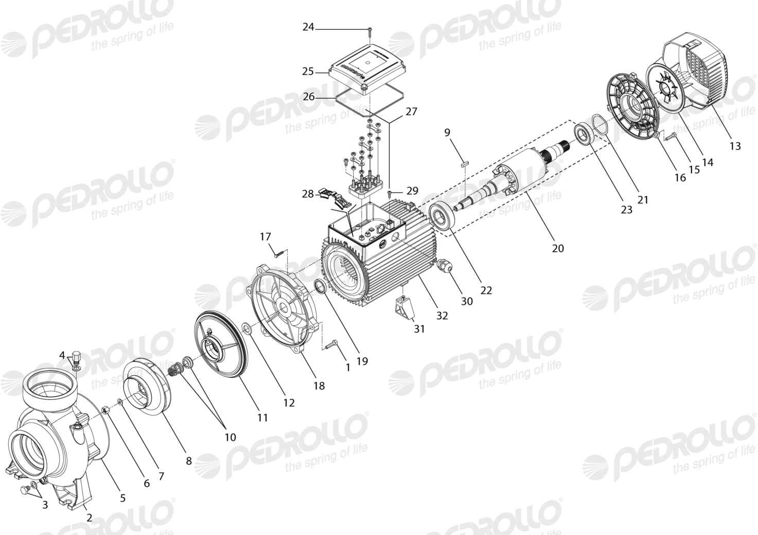Despiece de la Pedrollo HF 8A