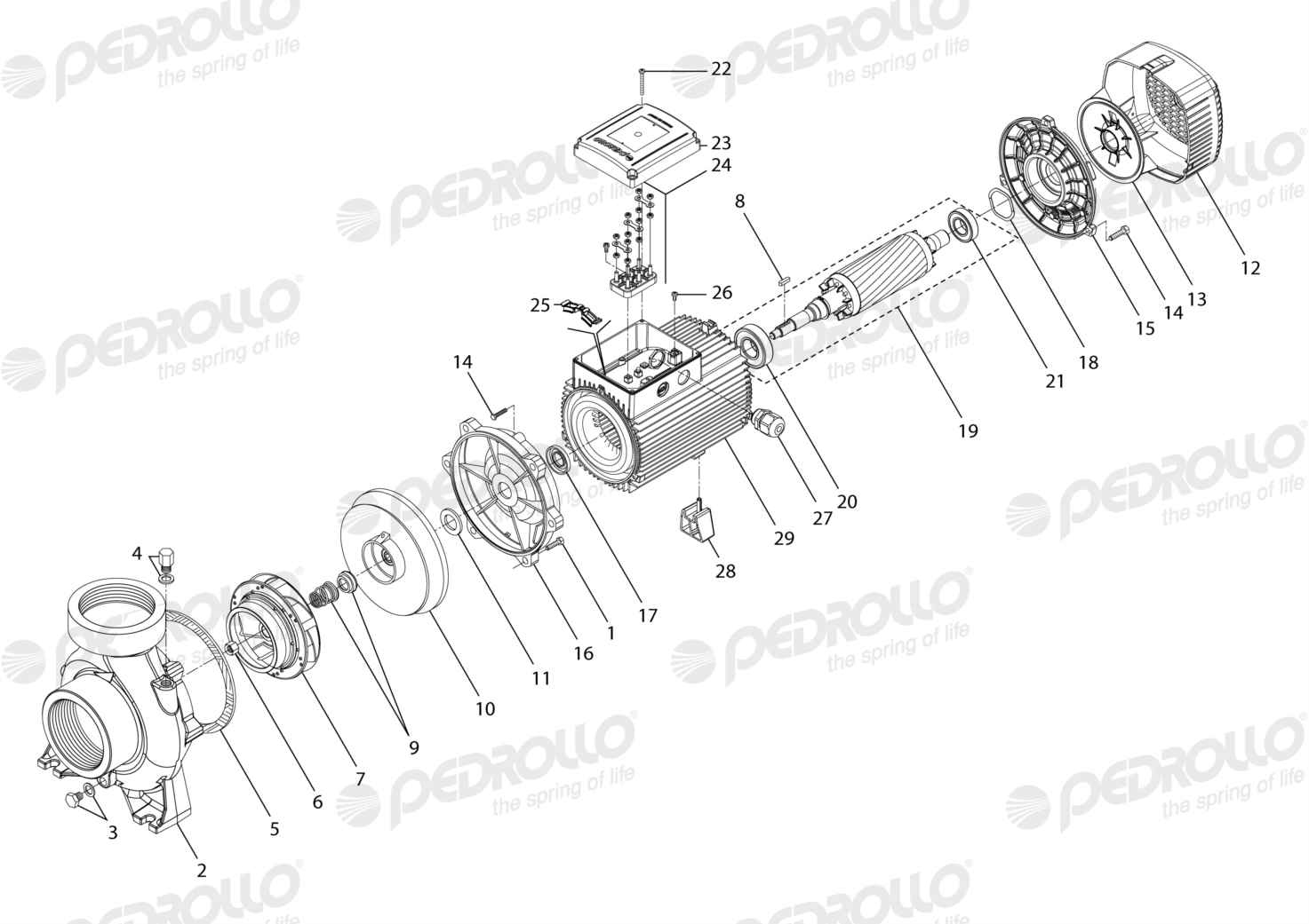 Despiece Pedrollo HF 8B · 220/380V · versión G