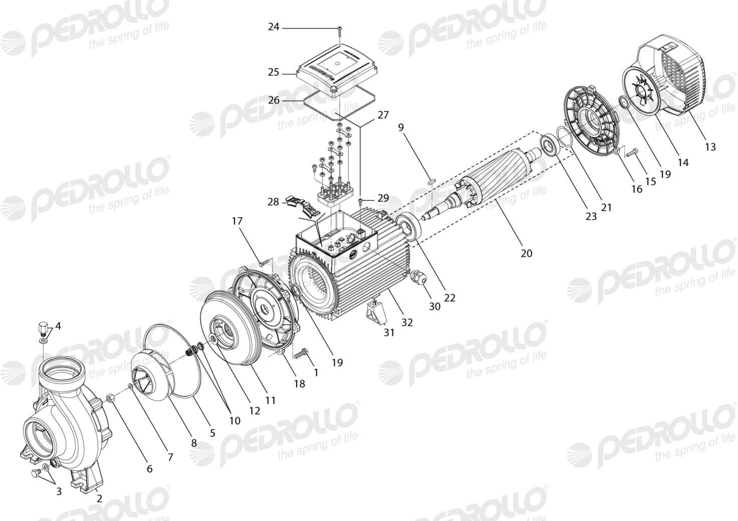Despiece de la Pedrollo HF 30A