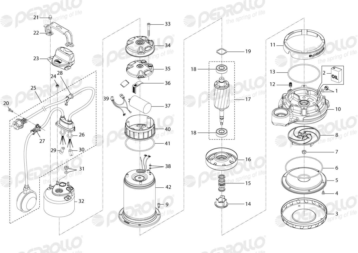 Despiece Pedrollo Dm 20 · 220V · versión M
