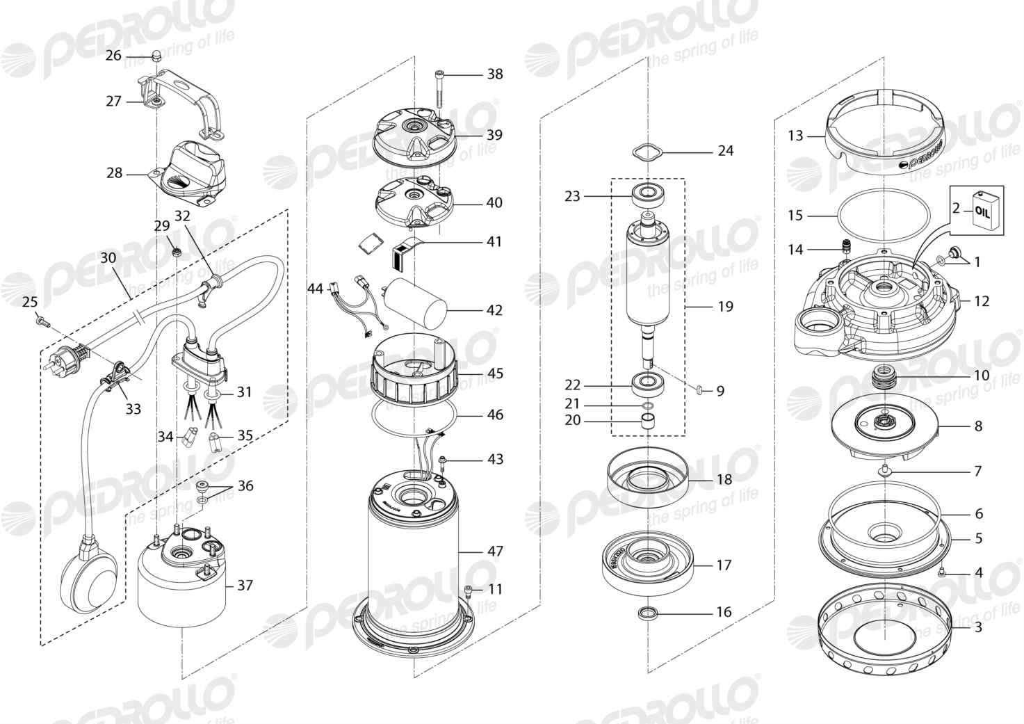 Despiece Pedrollo Dm 30 · 220V · versión M
