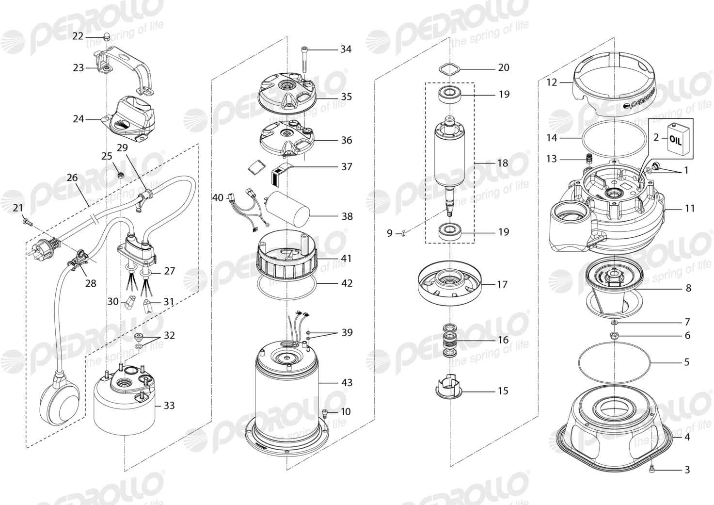 Despiece Pedrollo BCm 10/50 · 220V · versión M
