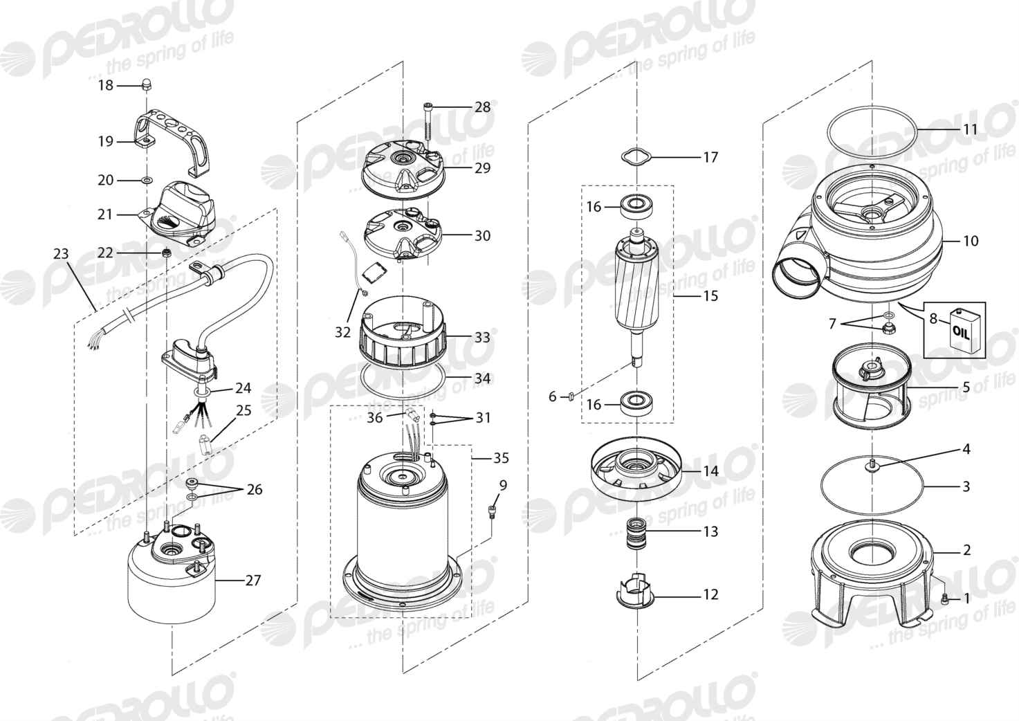 Despiece Pedrollo BC 15/50ST · 380V · versión Sin letra