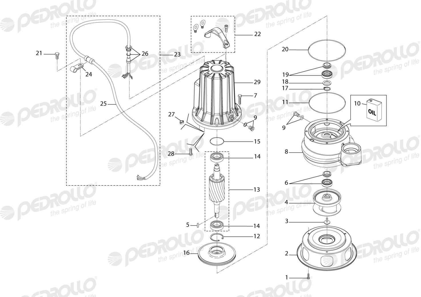 Despiece Pedrollo MC 30/50 · 380V · versión G