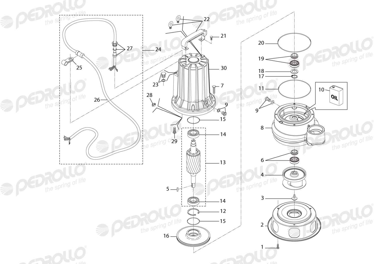 Despiece Pedrollo MC 20/50 · 380V · versión E