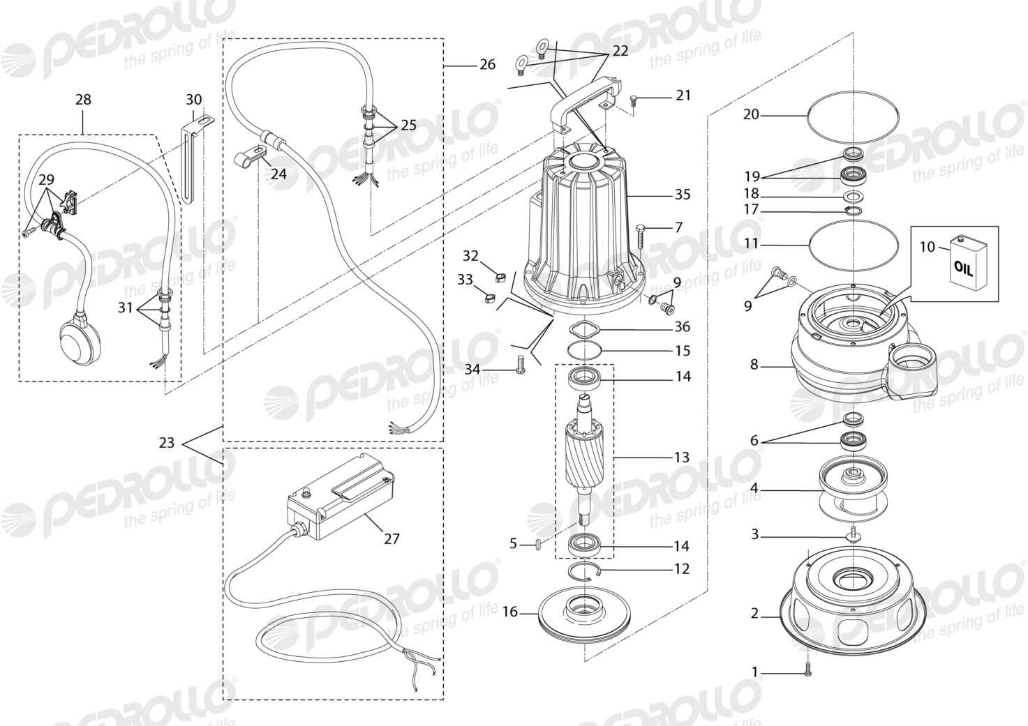 Despiece Pedrollo MCm 20/50 · 220V · versión F