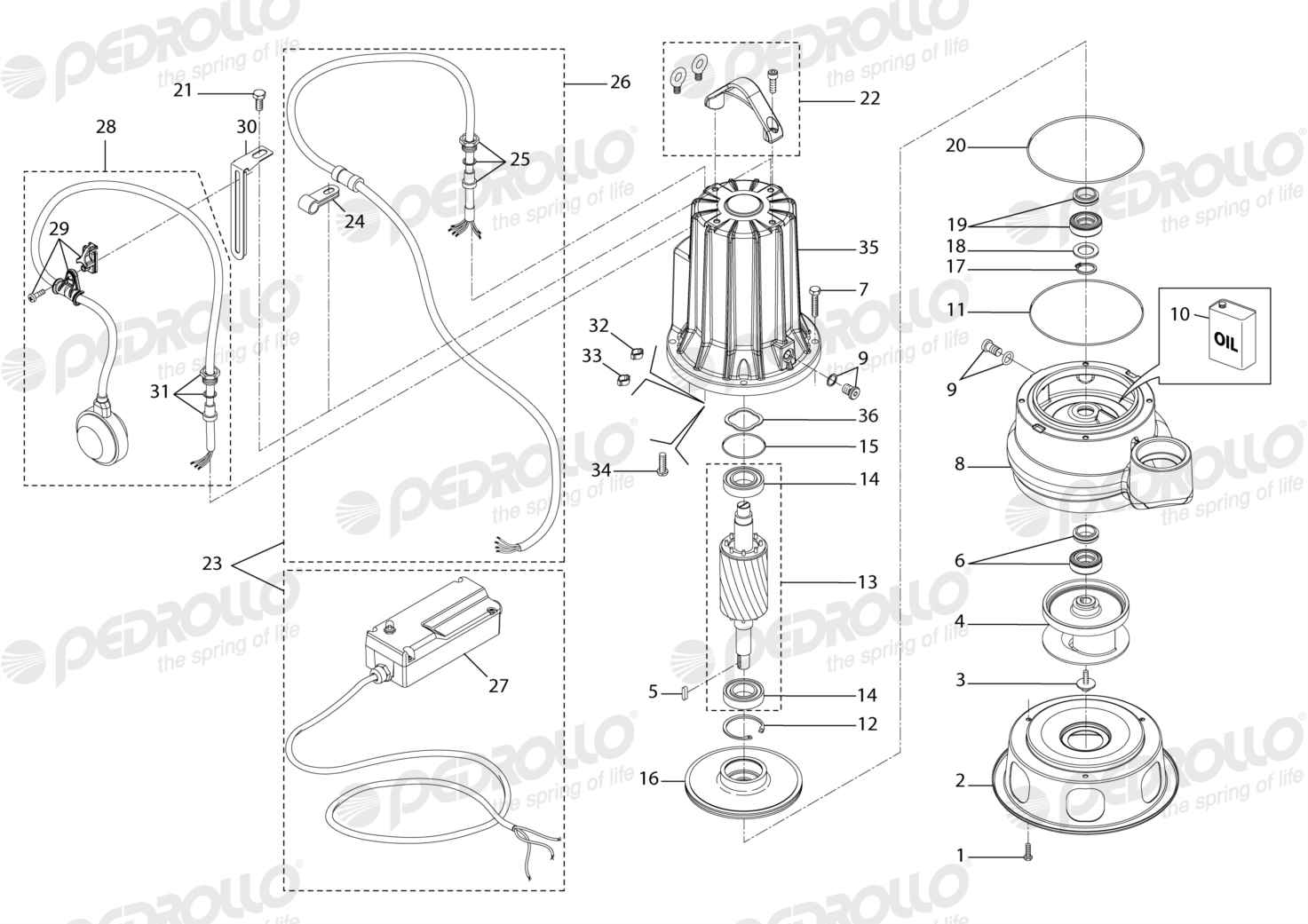 Despiece Pedrollo MCm 15/50 · 220V · versión G