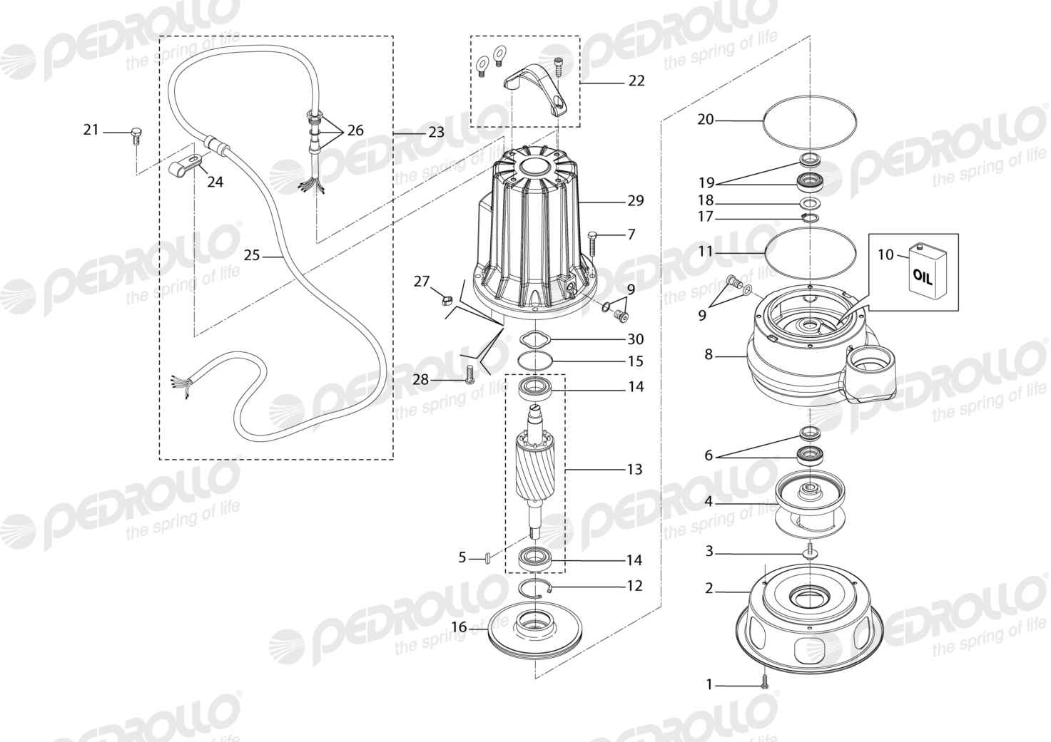 Despiece Pedrollo MC 40/50 · 380V · versión D