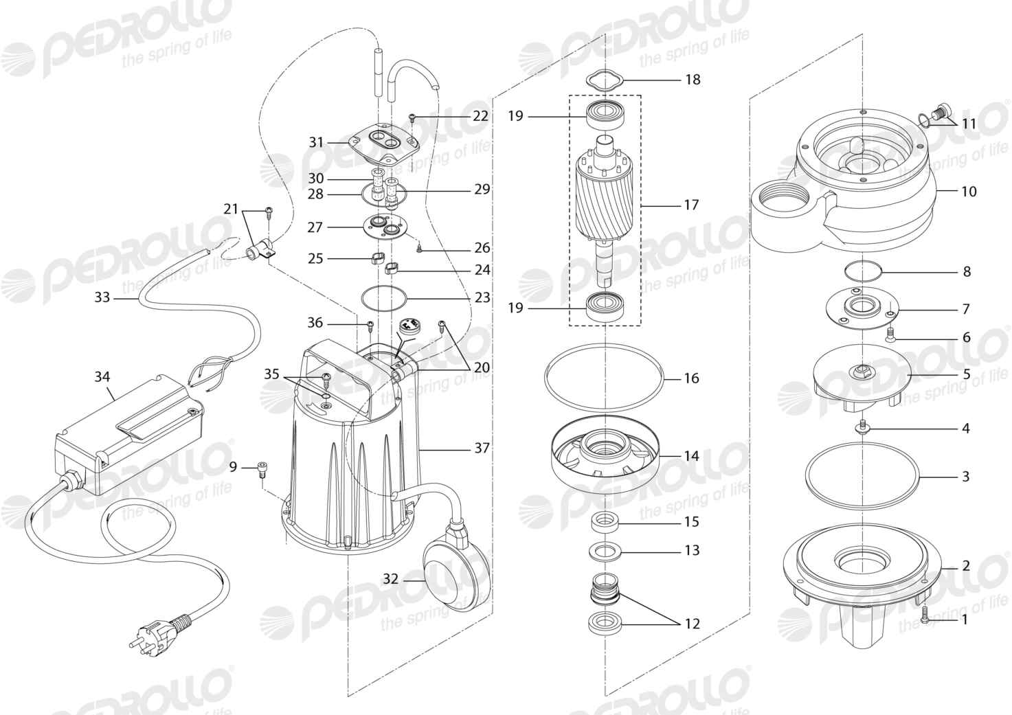 Despiece Pedrollo VXCm 10/45 · 220V · versión Sin letra