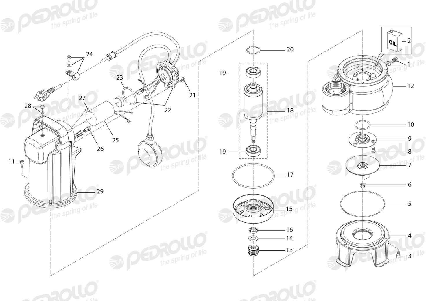 Despiece Pedrollo VXCm 10/45 · 220V · versión A