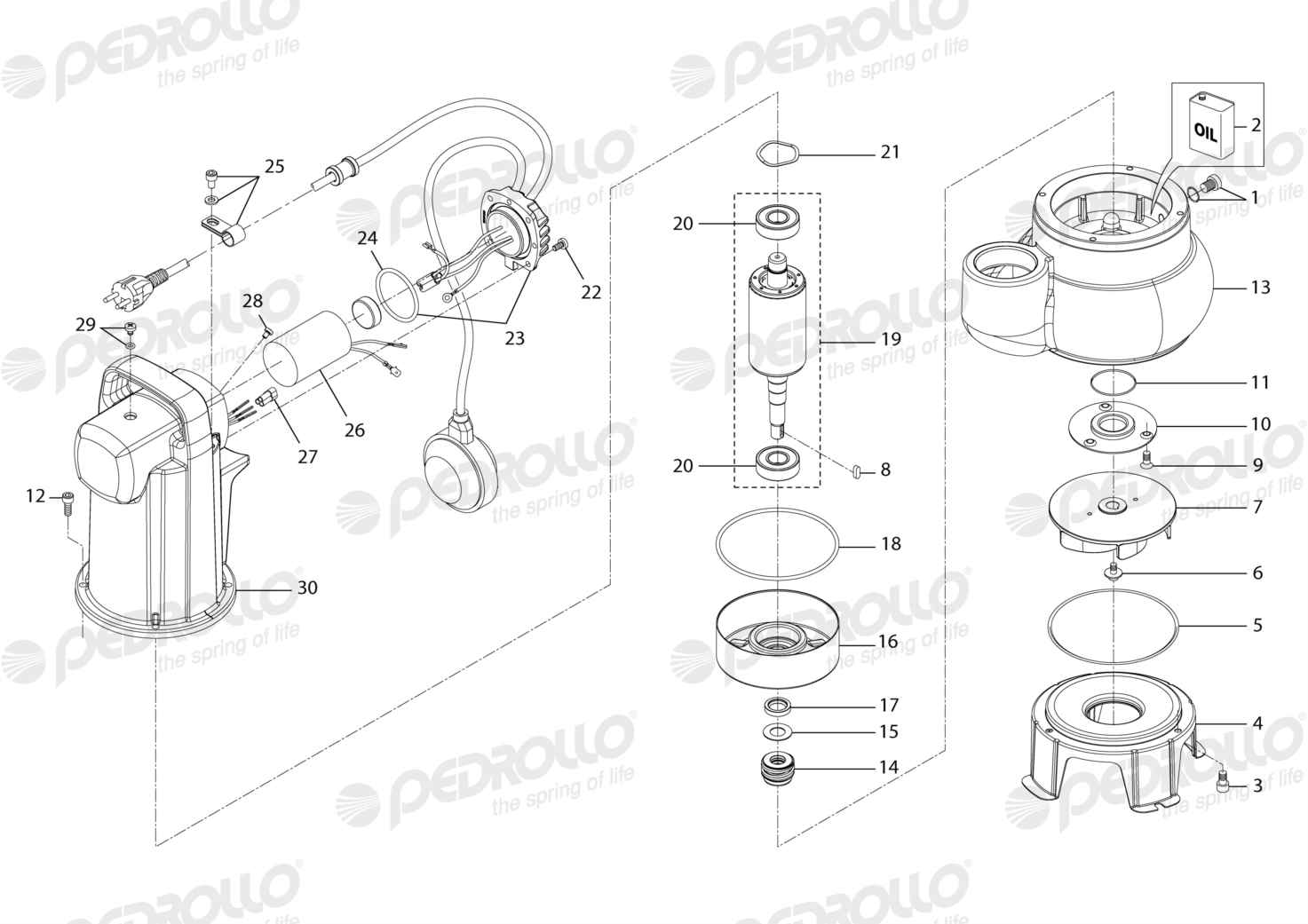 Despiece Pedrollo VXCm 15/45 · 220V · versión A