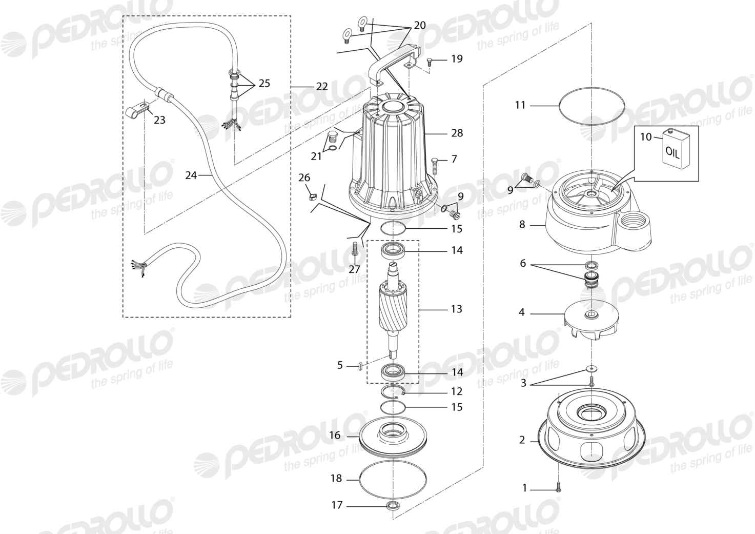 Despiece Pedrollo VXC 30/50 · 380V · versión D