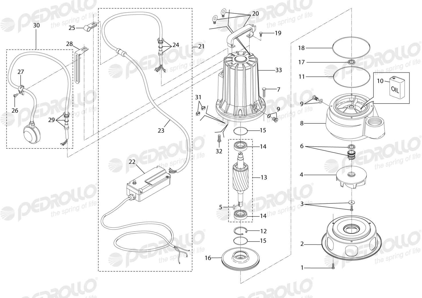 Despiece Pedrollo VXCm 20/50 · 220V · versión D
