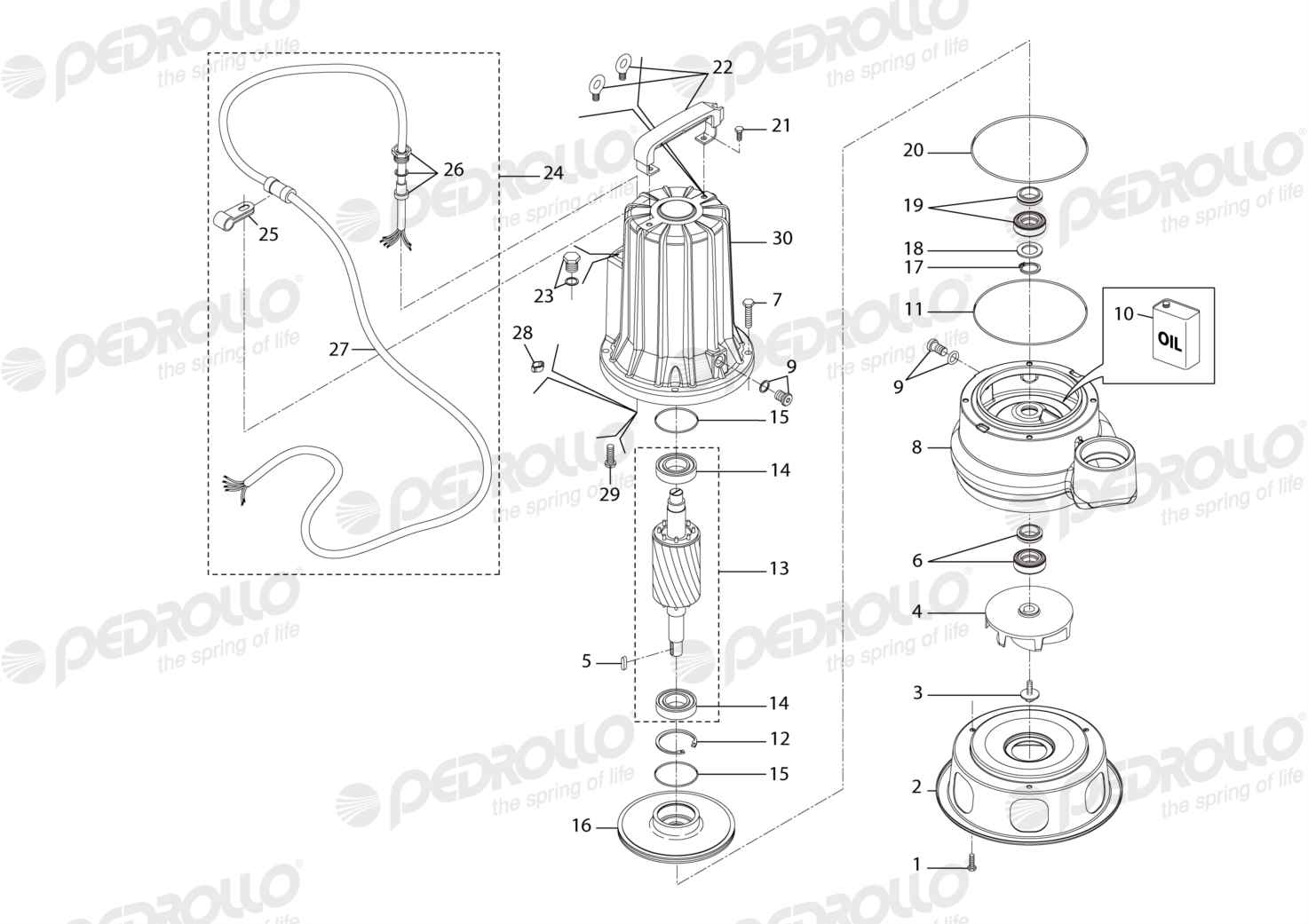 Despiece Pedrollo VXC 30/50 · 380V · versión E