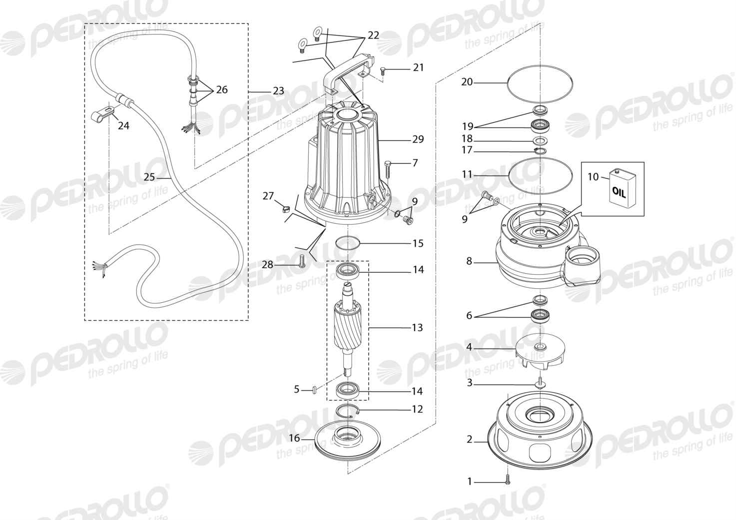 Despiece Pedrollo VXC 30/50 · 380V · versión F