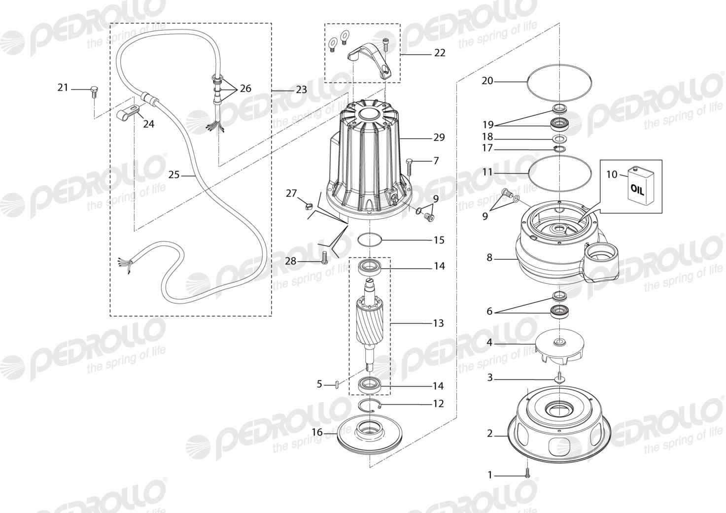 Despiece de la Pedrollo VXC 20/50