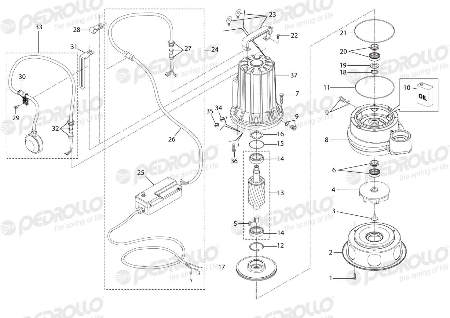 Despiece Pedrollo VXCm 20/50 · 220V · versión E
