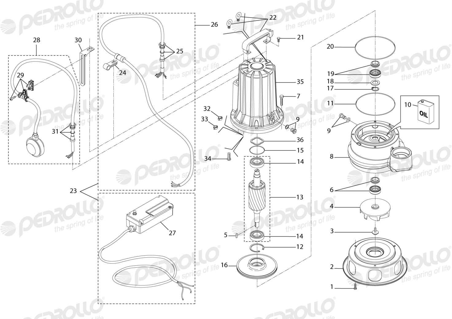 Despiece Pedrollo VXCm 20/50 · 220V · versión F