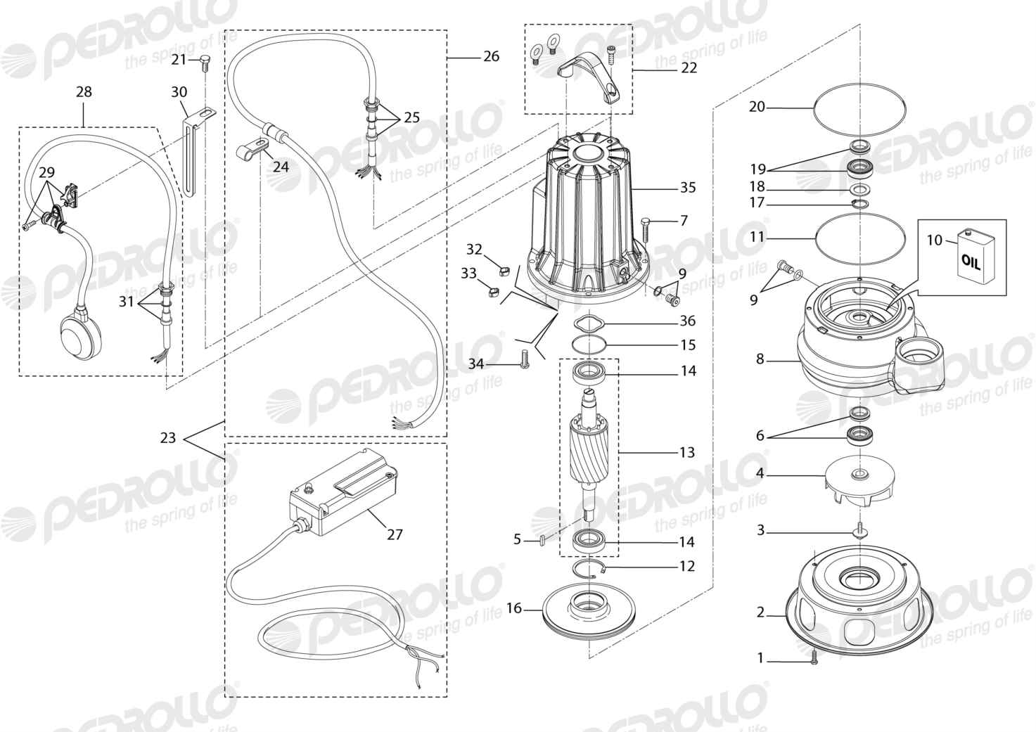 Despiece Pedrollo VXCm 20/50 · 220V · versión G