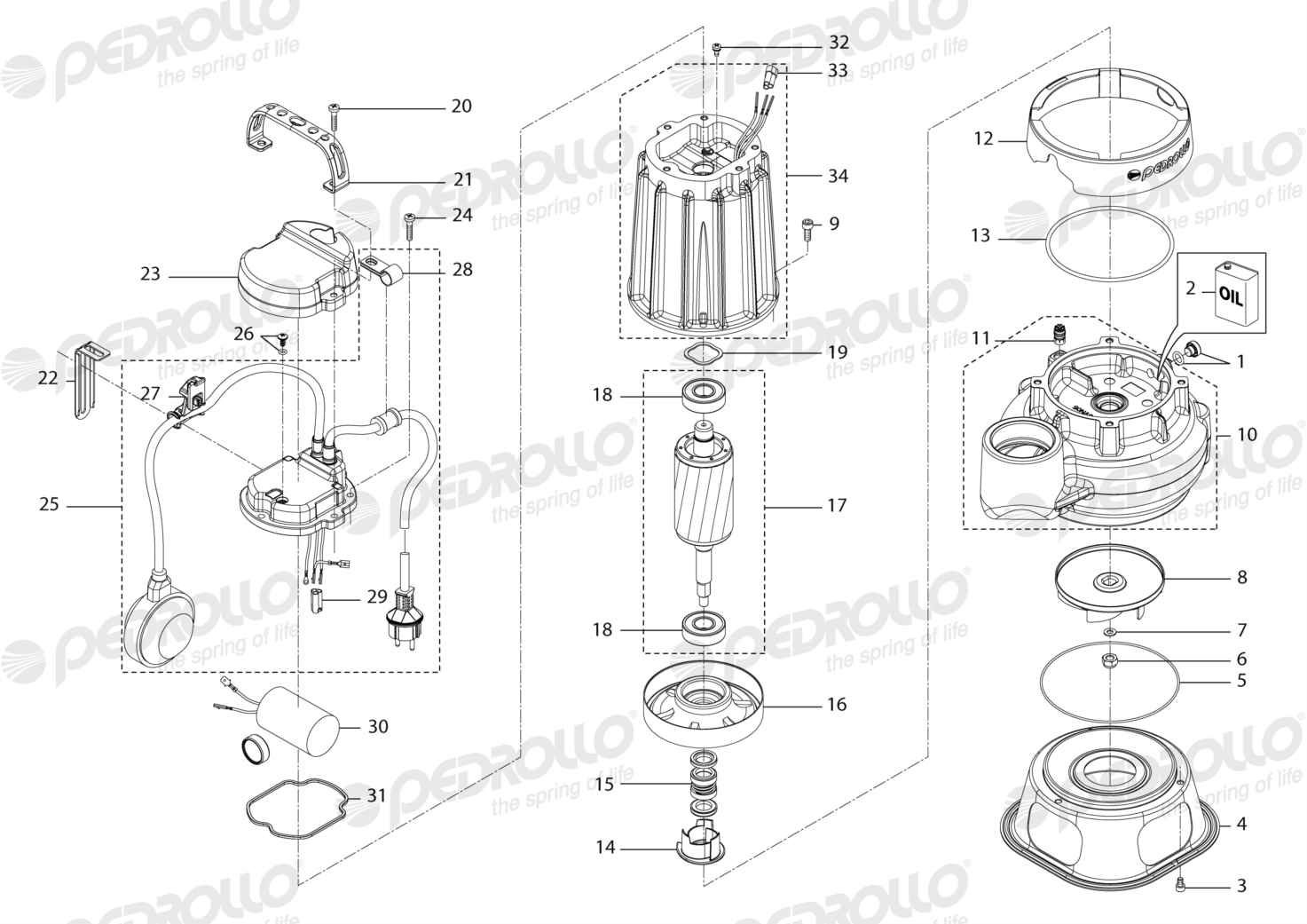 Despiece Pedrollo VXCm 10/45 · 220V · versión M