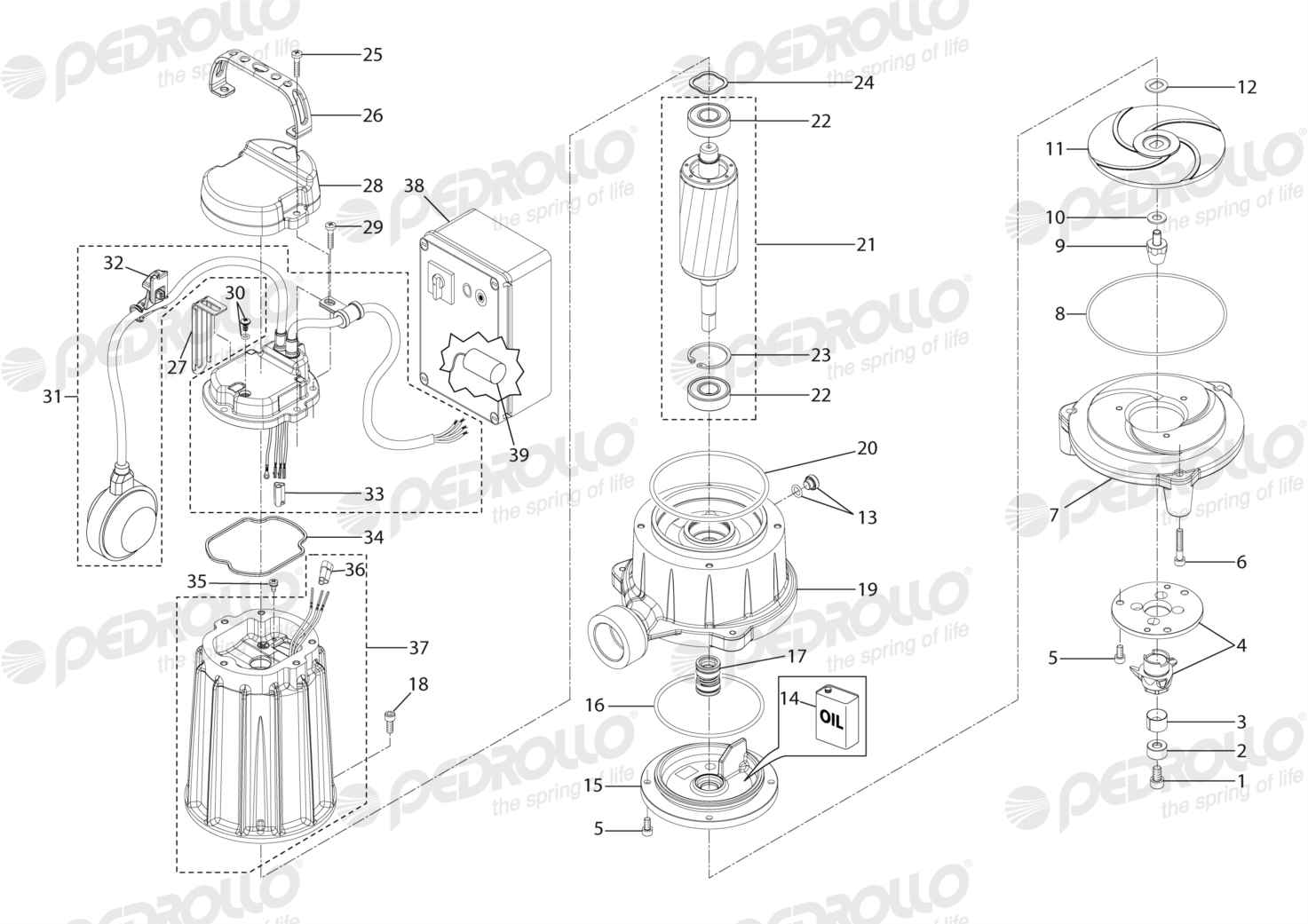 Despiece Pedrollo TRm 0.75 · 220V · versión A