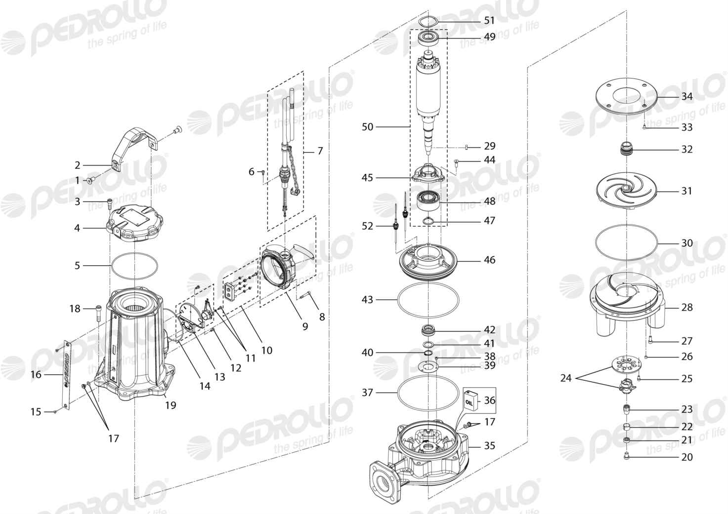 Despiece Pedrollo TR 6 · 380V · versión Sin letra