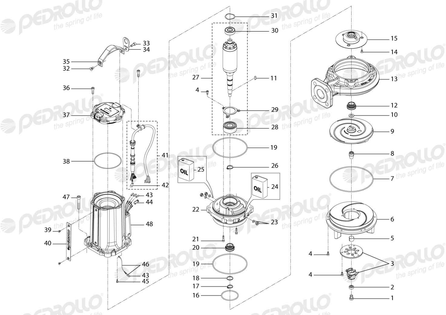 Despiece Pedrollo TR 3 AP · 380V · versión Sin letra