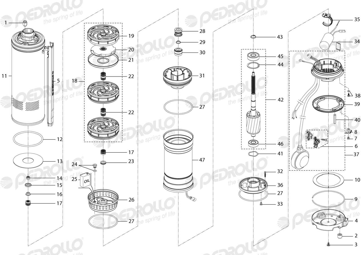 Despiece Pedrollo UPm 4/3 GE · 220V · versión Sin letra