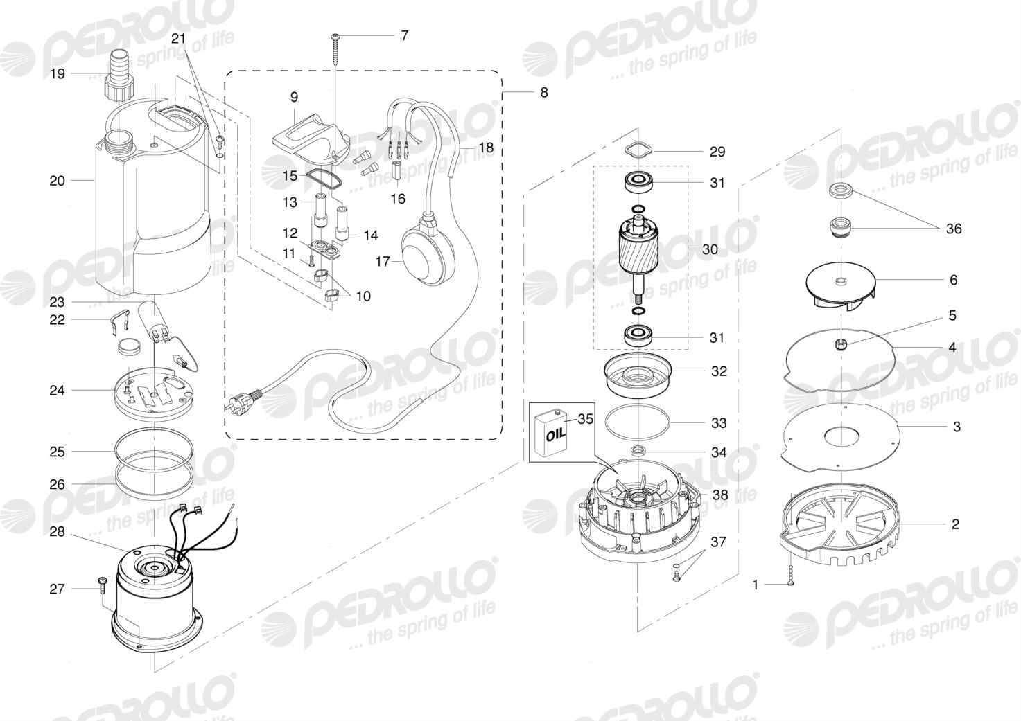 Despiece Pedrollo TOP 1 · 220V · versión G