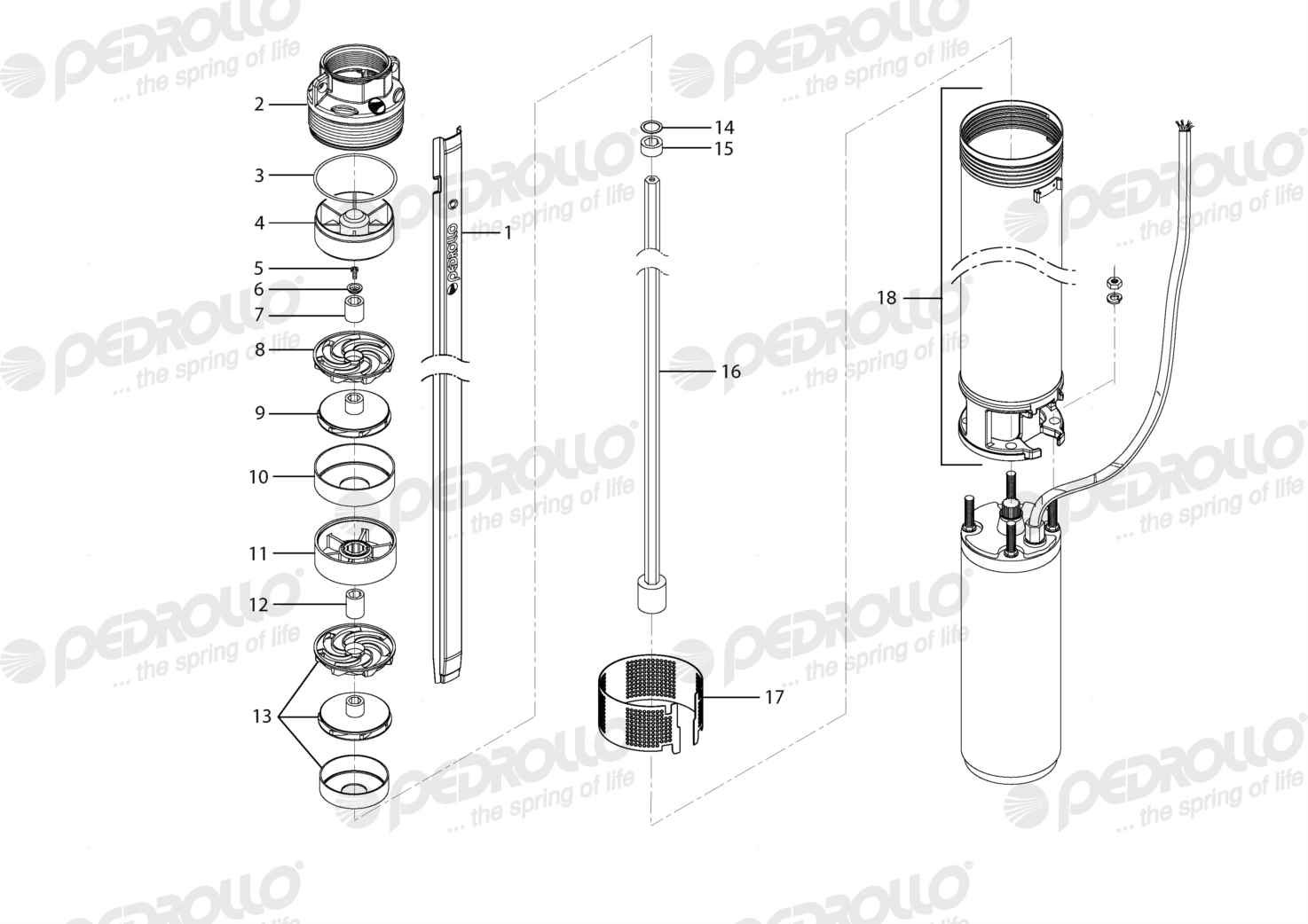 Despiece de la Pedrollo 4SR60G/100