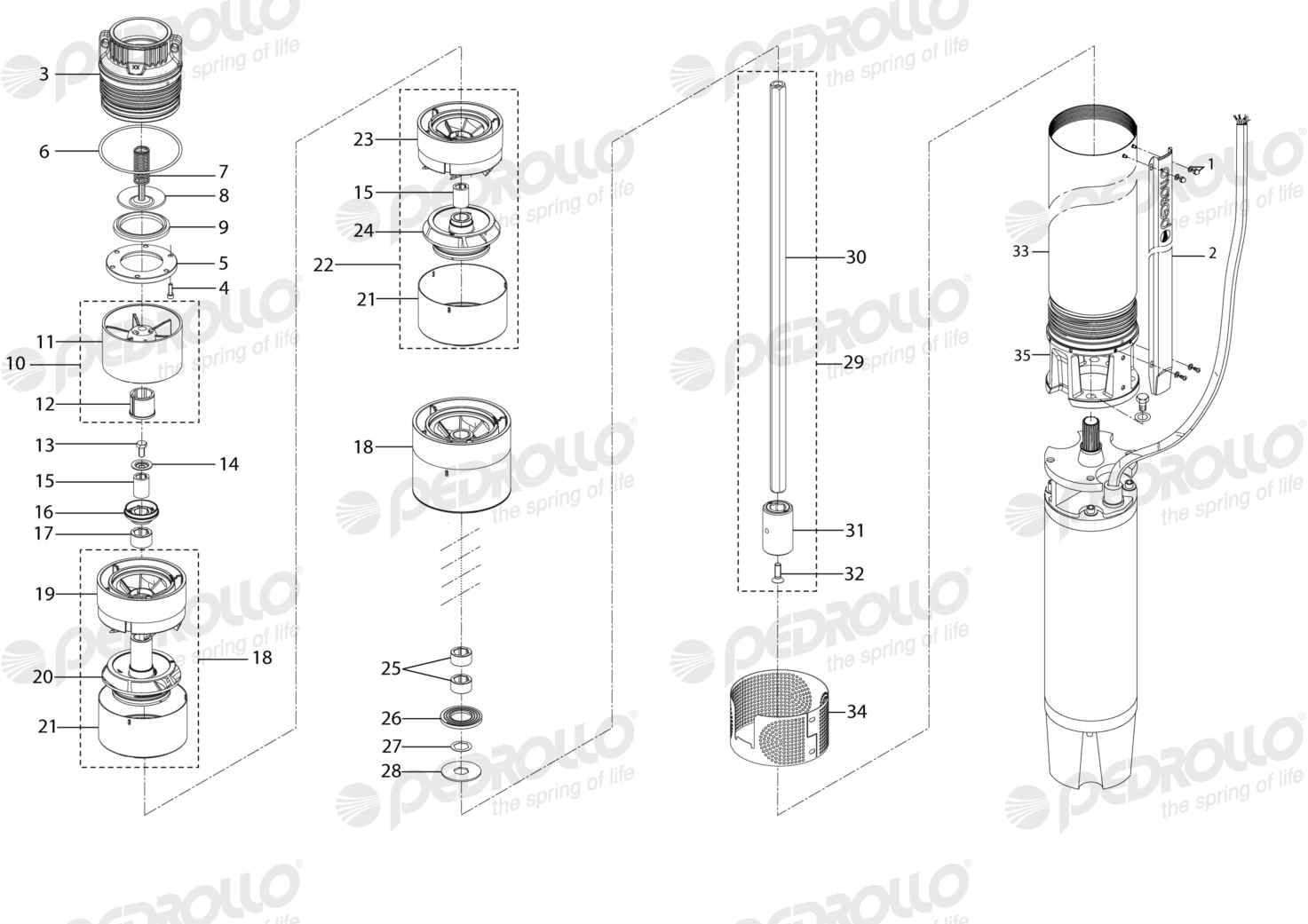 Despiece Pedrollo 6SR225G/250 · Rosca NPT · versión P