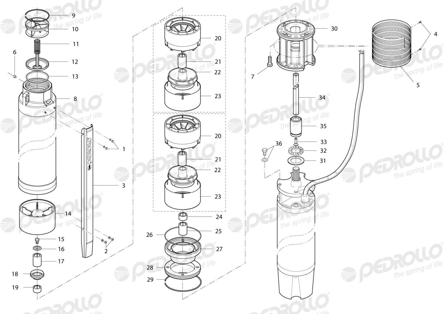 Despiece Pedrollo 6SR175G/100 · Rosca GAS · versión N