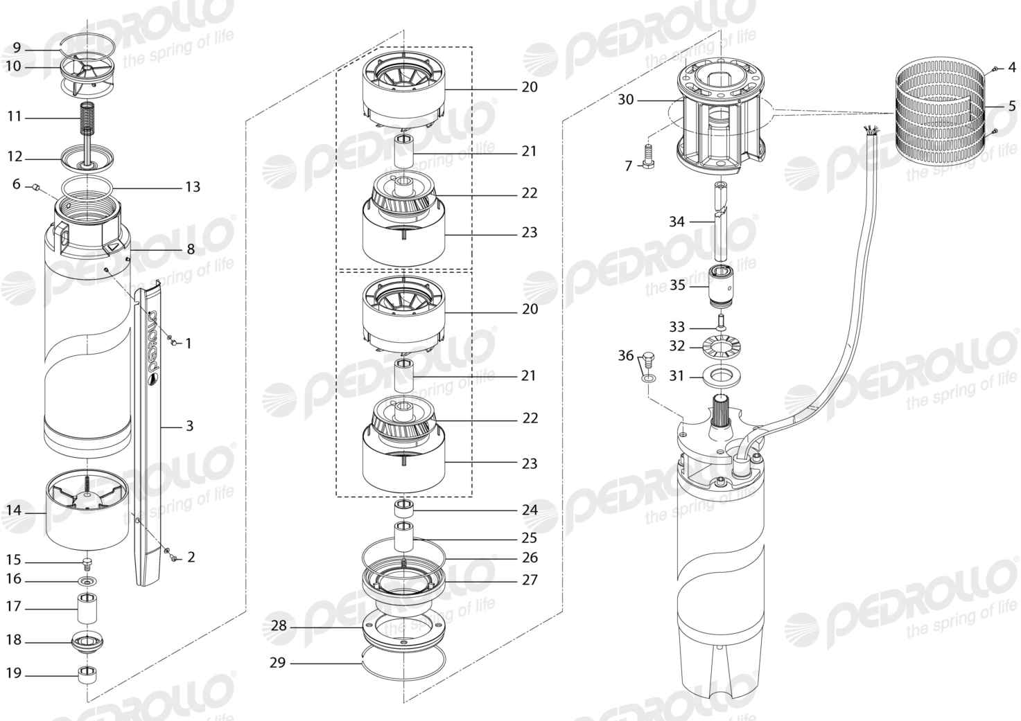 Despiece Pedrollo 6SR175G/200 · Rosca NPT · versión N