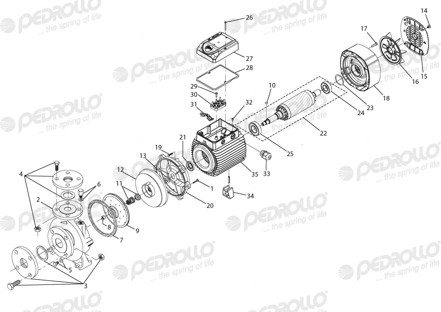 Despiece Pedrollo F 32/160A · 220/380V · versión G