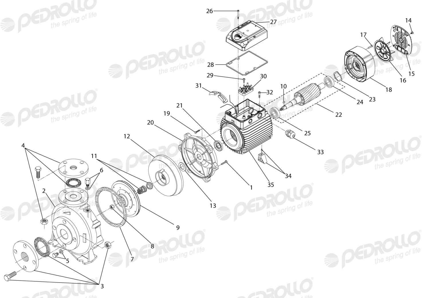 Despiece Pedrollo F 40/160B · 220/380V · versión D