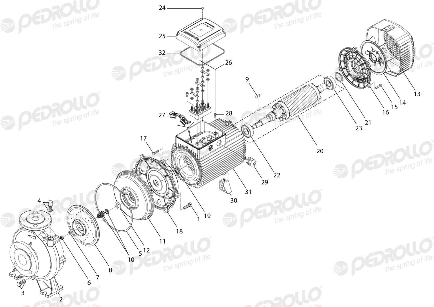 Despiece Pedrollo F 50/160B-I · 220/380V · versión A